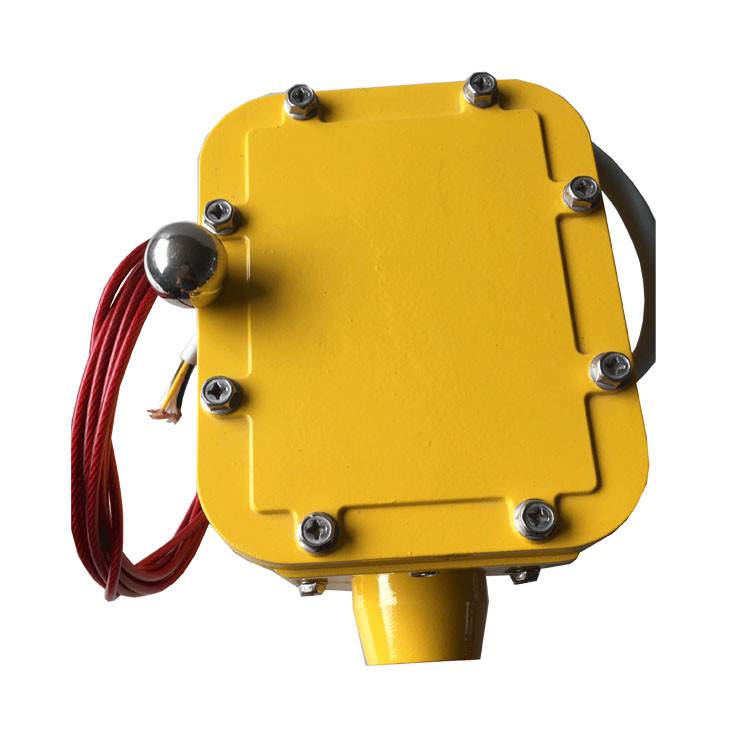 皮帶縱向撕裂檢測器SCPT-180-30、皮帶縱向撕裂檢測裝置ZL-B-II-100生產(chǎn)
